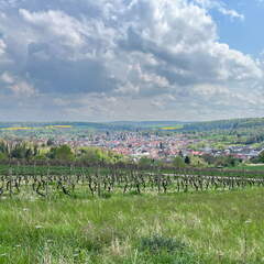 22-04-25 14-39-14 0646